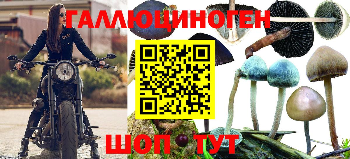 Галлюциногенные грибы ЛСД Торжок