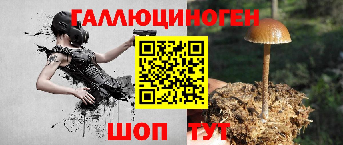 Псилоцибиновые грибы GOLDEN TEACHER  Вход с VPN  Торжок 